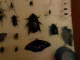 Immagine 236.gif