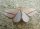 DSCN6816.JPG
