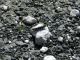 DSCN5402.jpg