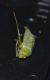 DSC_0015.jpg