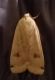 Agrochola.jpg
