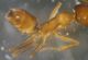2019-11-09-21.32.30 ZS PMax.jpg