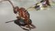 ichneumonid1.JPG