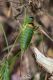 DSC_3514-2.jpg