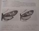 DSC01472.JPG