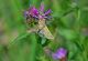 DSC_1255.jpg