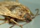 DSC01565.JPG