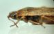 DSC01561.JPG