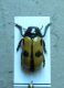 1-DSCN9062,okit.jpg
