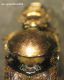 Aphodiidae 1-03.JPG