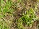 DSCN5514.jpg
