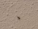 20191224_140100-compressed.jpg