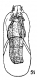 B sculptifons.png