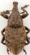 2017-10-16 21-50-16 (B,Radius2,Smoothing1)12.JPG