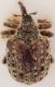 2017-10-17 19-58-25 (B,Radius2,Smoothing1)23.JPG