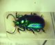 2-DSCN9539,okit.jpg