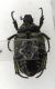 DSCN6511.JPG