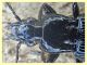 probabile Pterostichus sp. circa 21 mm. - Roma - San Paolo - Lungotevere di Pietra Papa - 10.10 .2019,,,,.JPG