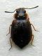 DSCN9141.JPG