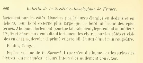 P.benitensis descriz 2.JPG