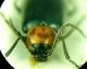 3-DSCN9835,okit.jpg