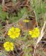 Turchia 2010_Almus_Licenide 694.jpg