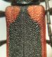 DSC02325.JPG