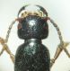 DSC02443.JPG