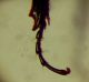 2-DSCN0259,okit.jpg