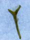 20200404123052905.jpg
