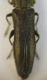 DSCF5084.JPG