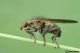 DSC_0794aa.jpg