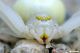 DSC_0539a.jpg