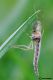 DSC_6293.jpg