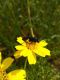 thumbnail_IMG_20200415_092900.jpg