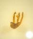 Ernobius sp.edeago ven.allarg.copia.jpg