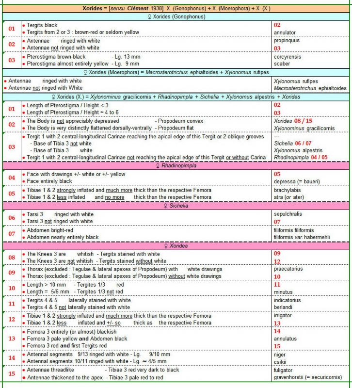 XORIDINAE - Xorides (Gonophonus + Moerophora + Xorides) - F - Clé - Image Rectifiée le 27.04.2020 - Image définitive.jpg