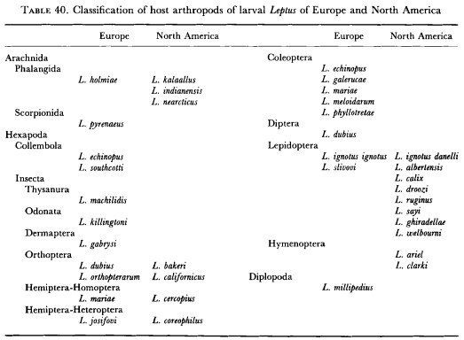 southcott1992-table40.jpg