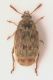 DSCN4406.JPG