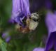 IMG_0445 (2)_sm.JPG