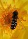 DSCN9458.JPG
