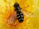 DSCN9459.JPG