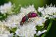 DSC_5736-2.jpg