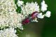 DSC_5717-2.jpg