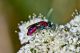 DSC_5878-2.jpg