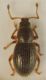 DSCF7219.JPG