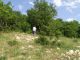 Turchia 2010_Pulumur_trappole_ 111.jpg
