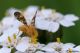 DSC_6260.jpg