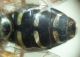 DSC03114.JPG