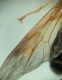 DSC03115.JPG